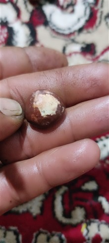 مهره