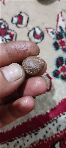 هبهاب