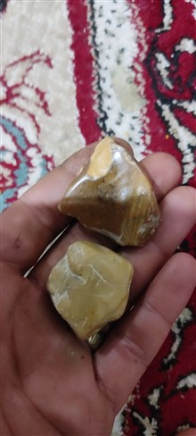 راف