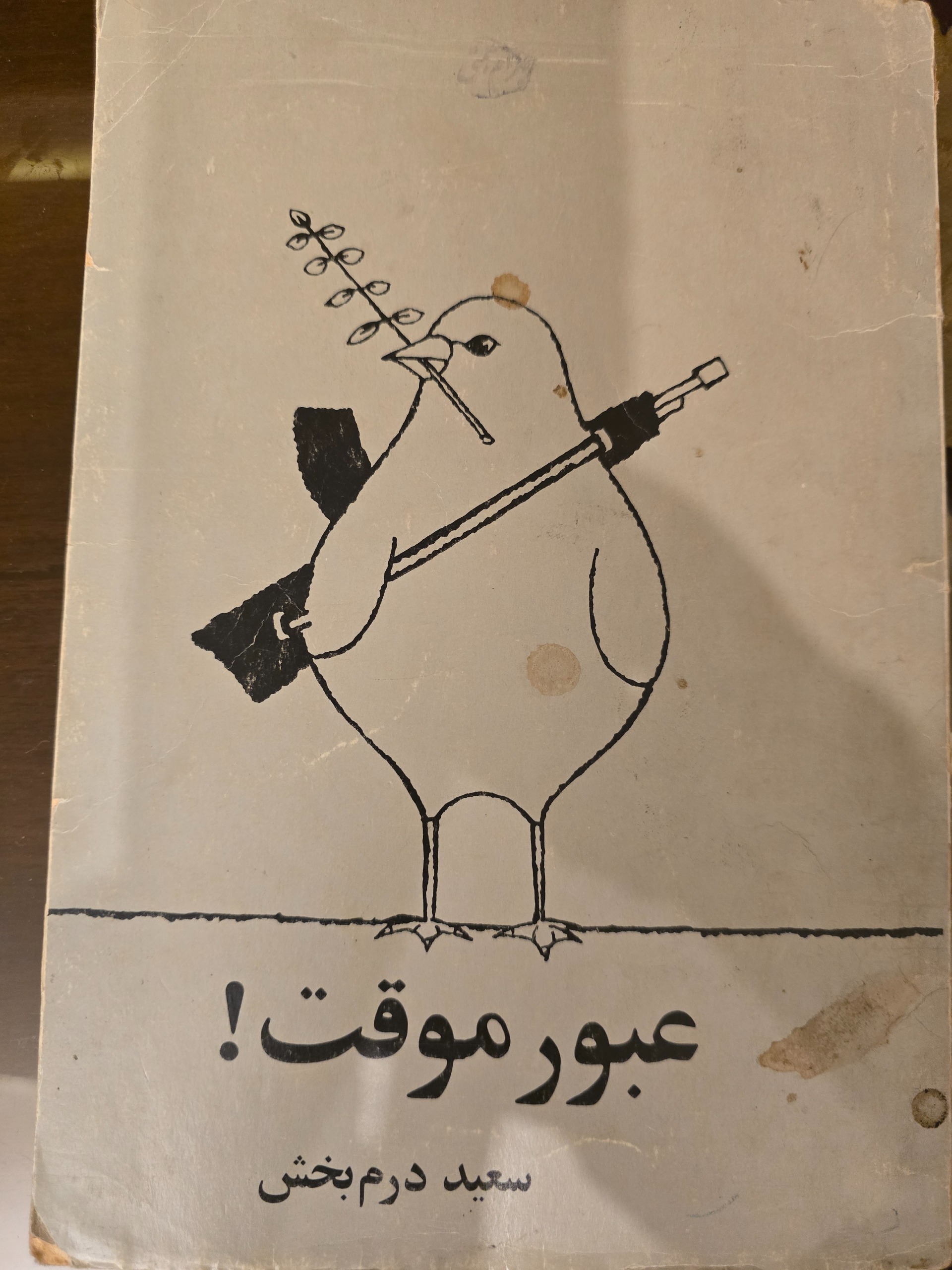کتاب کاریکاتور عبور موقت