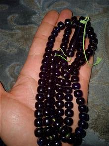 تسبیح
