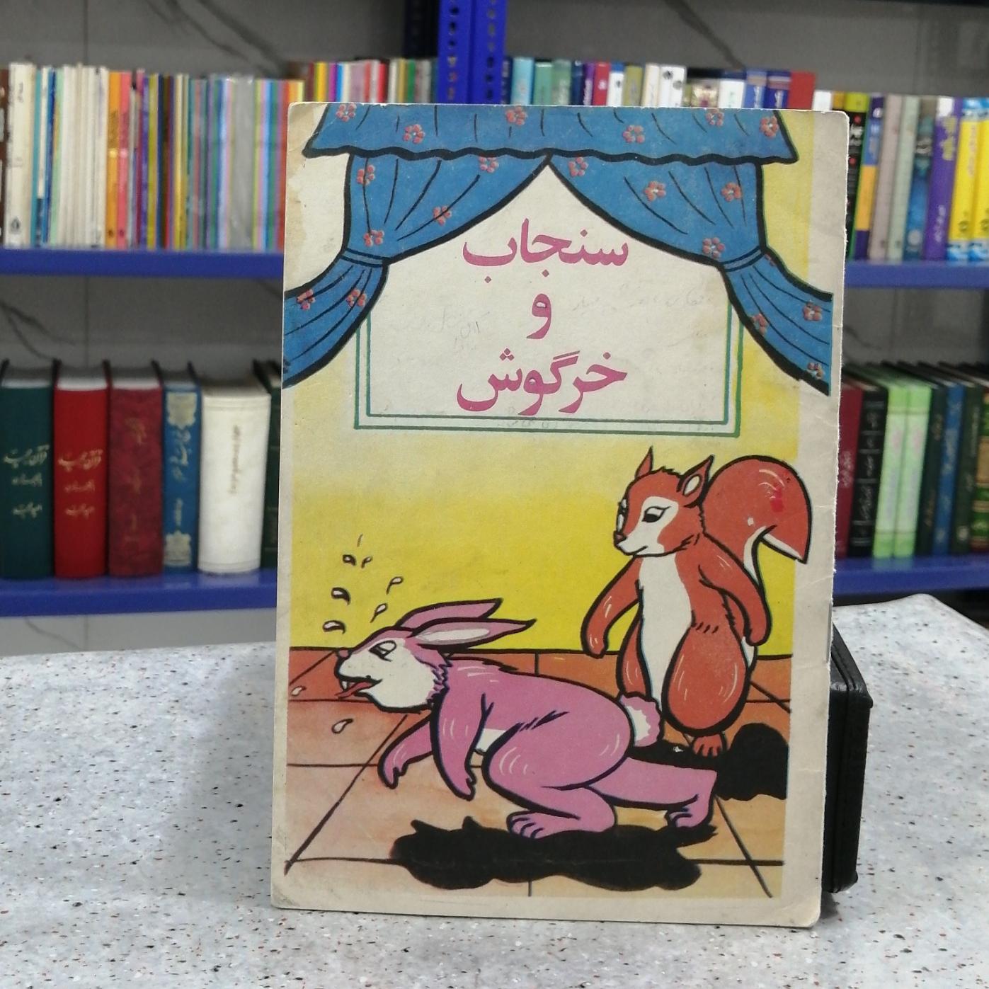 سنجاب و خرگوش