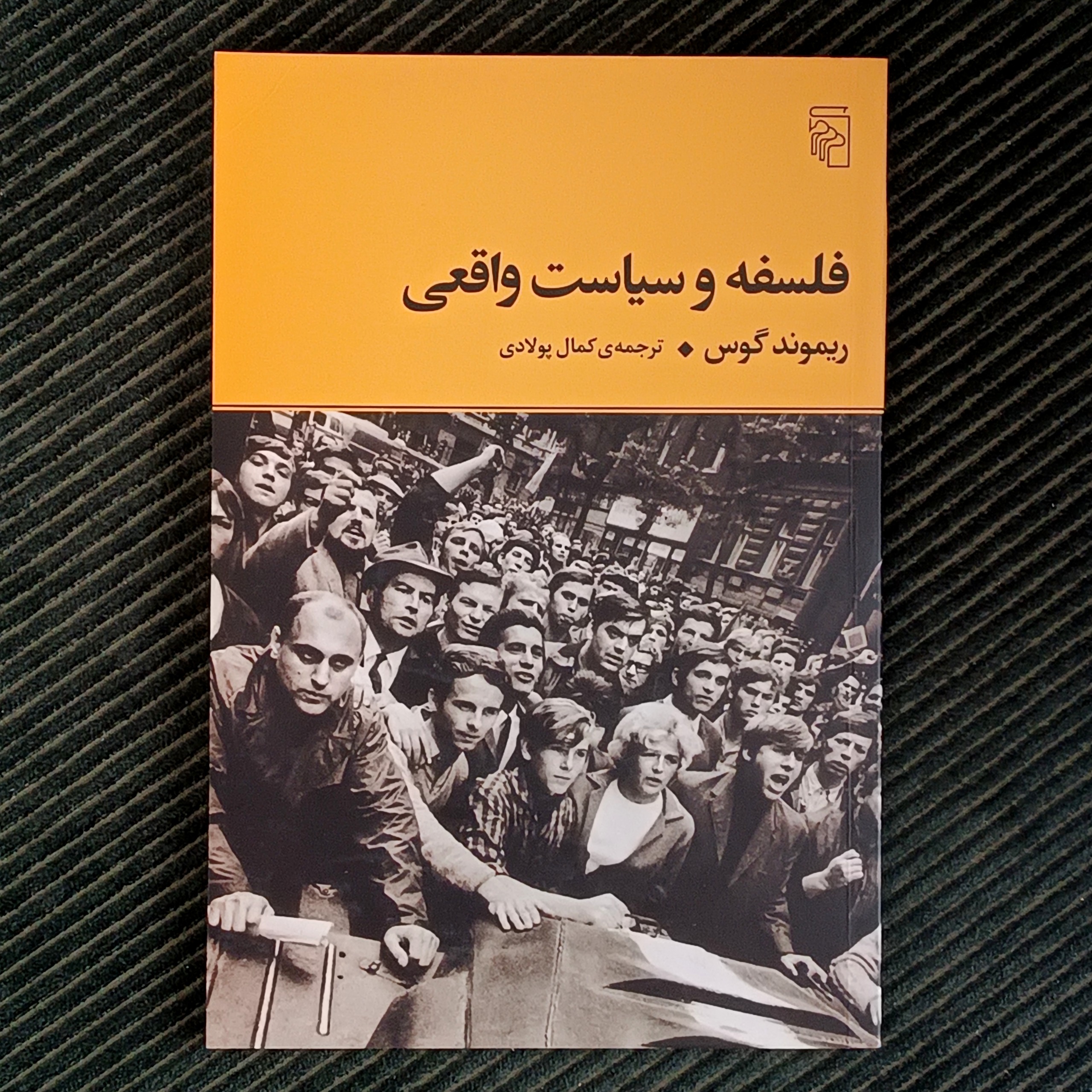 فلسفه و سیاست واقعی، ریموند گوس