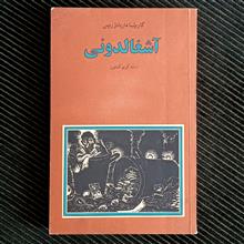 آشغالدونی،