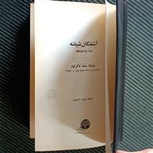 آشفتگان