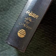 آشفتگان