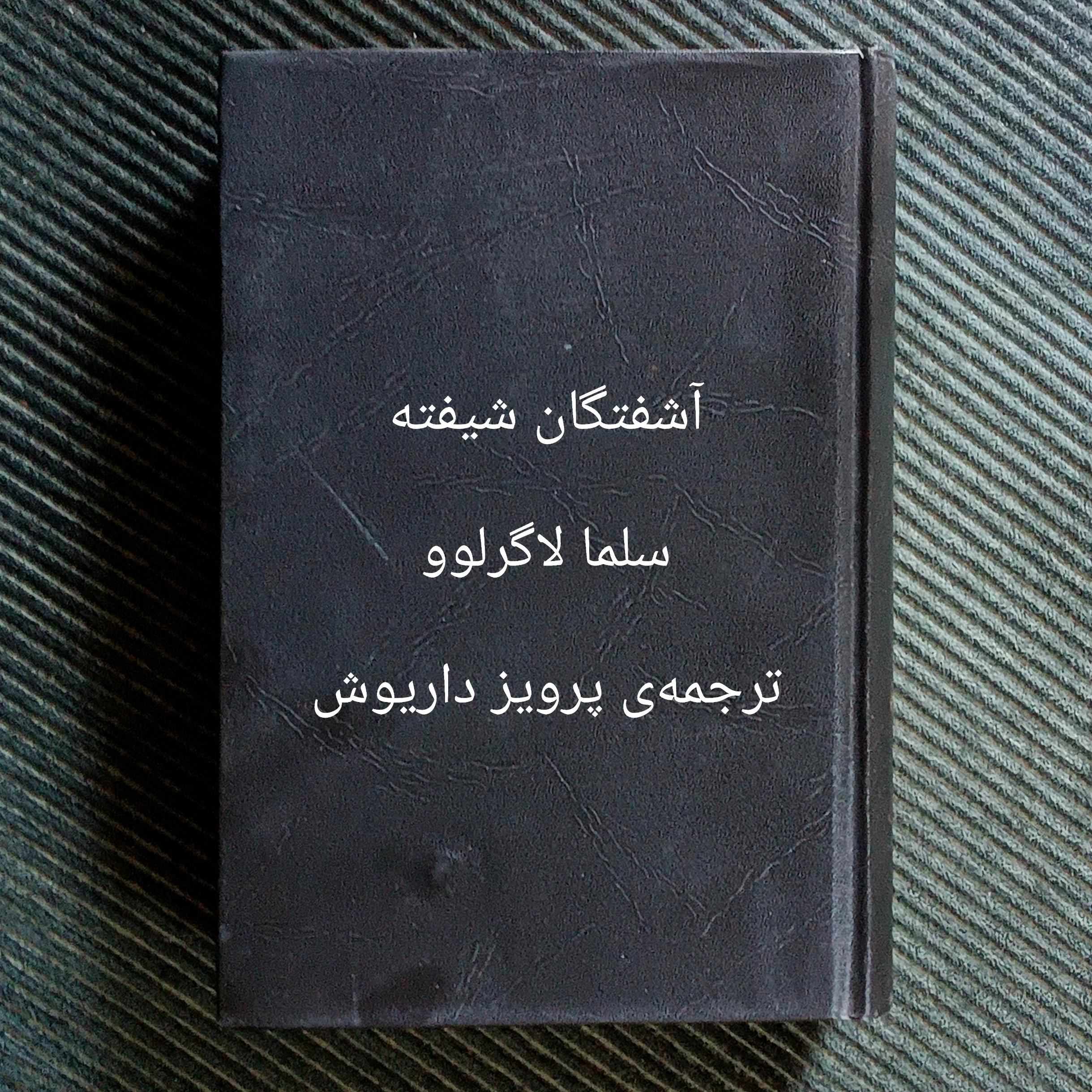 آشفتگان شیفته، سلما لاگرلوو