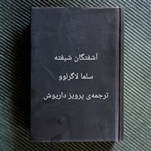 آشفتگان