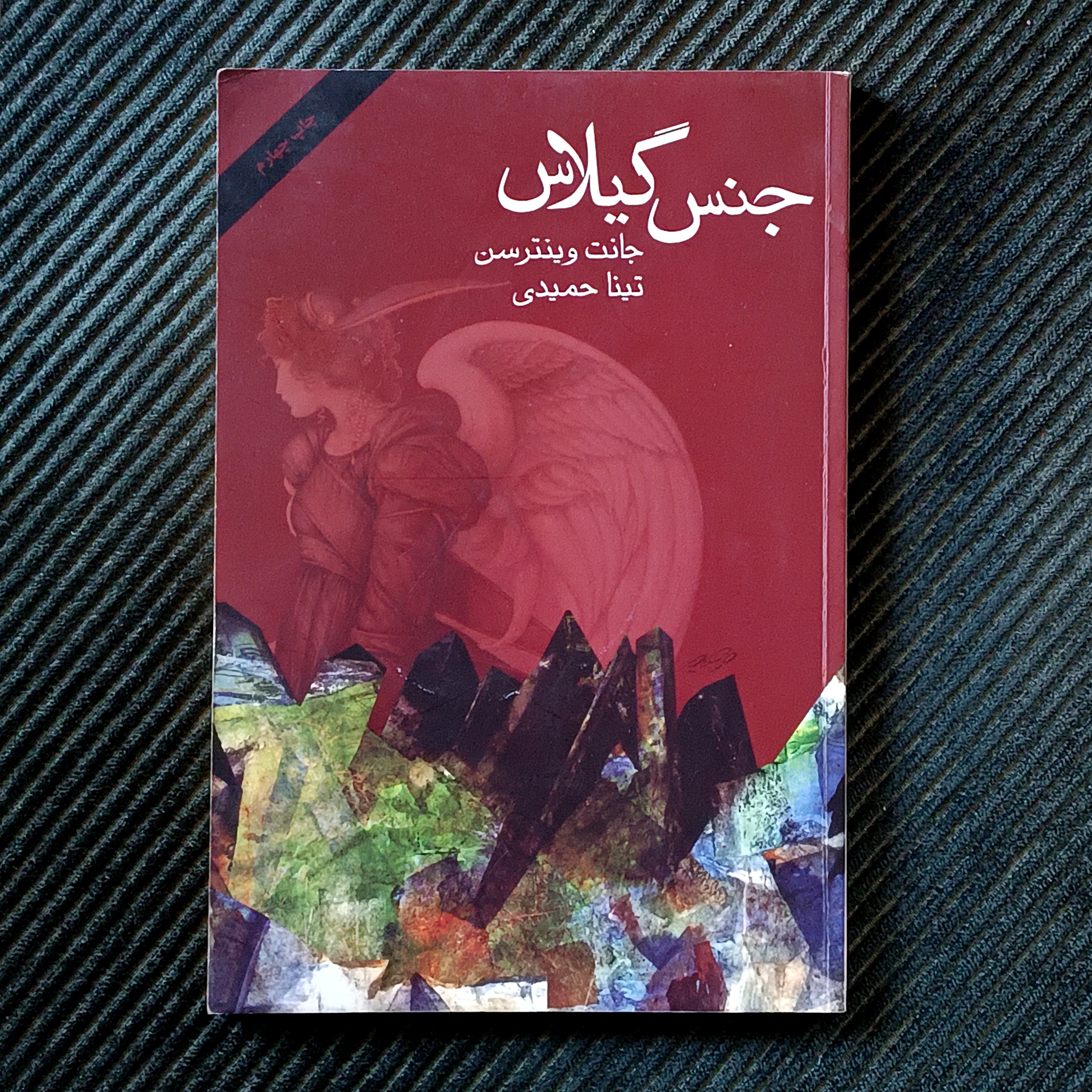 جنس گیلاس، جانت وینترسن