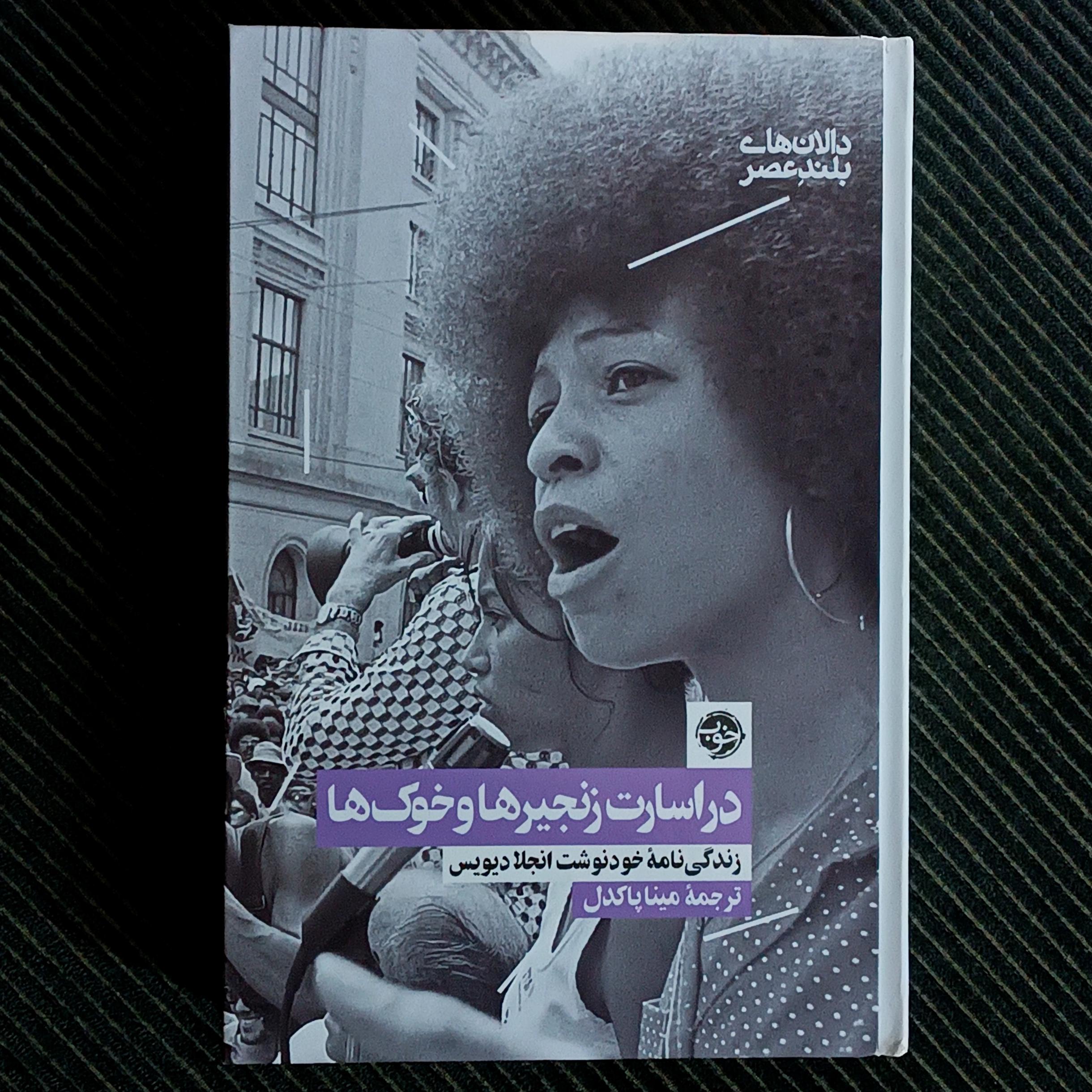 در اسارت زنجیرها و خوک ها، انجلا دیویس