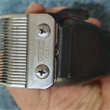 ریش