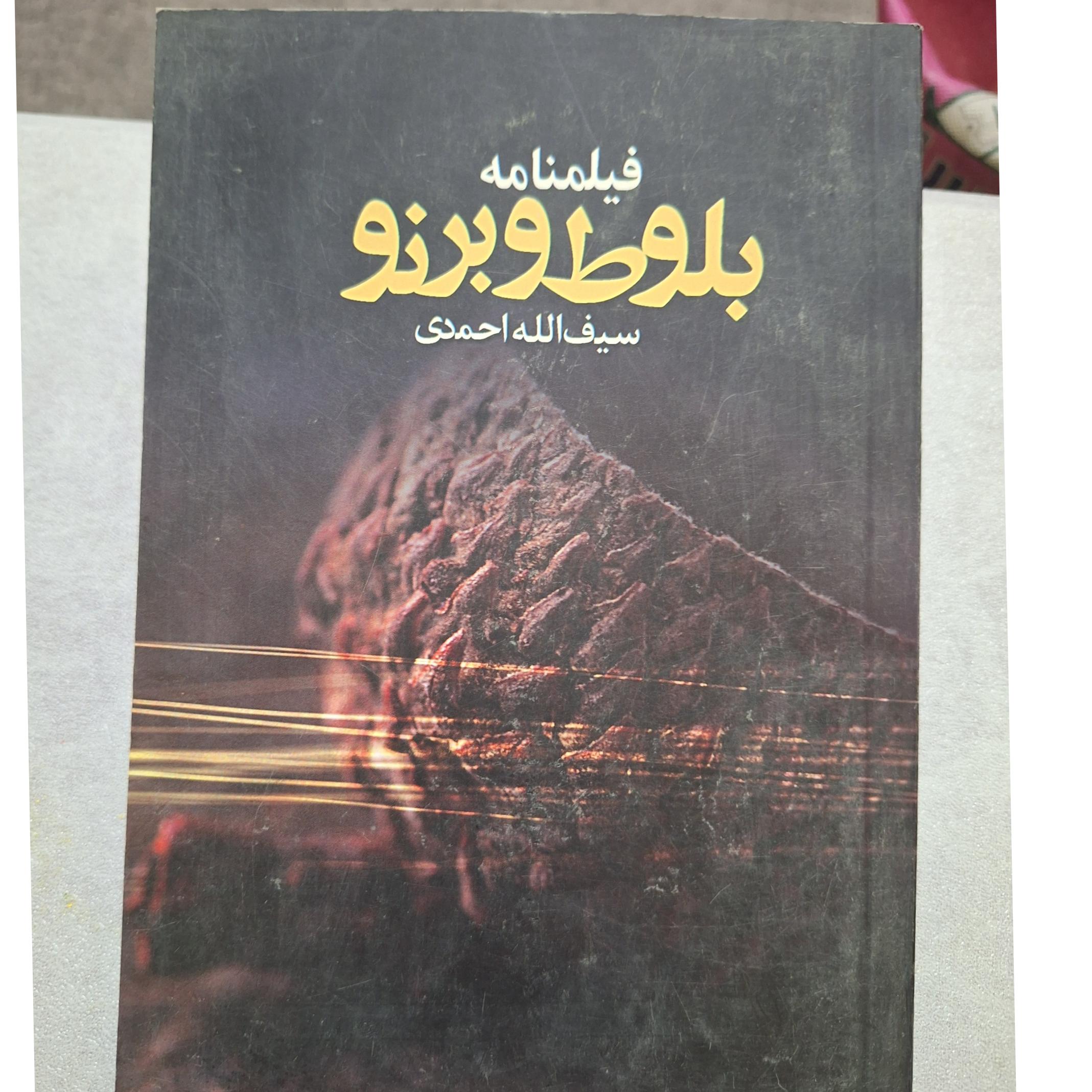 بلوط و برنو فیلمنامه کد36