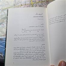 راهنمای