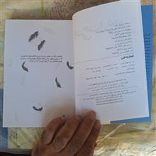 وقتی