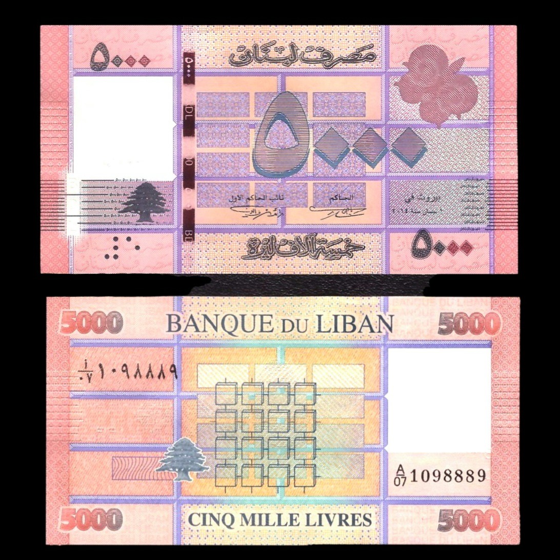 جفت اسکناس زیبا و بینظیر 5000 لیره لبنان 2014