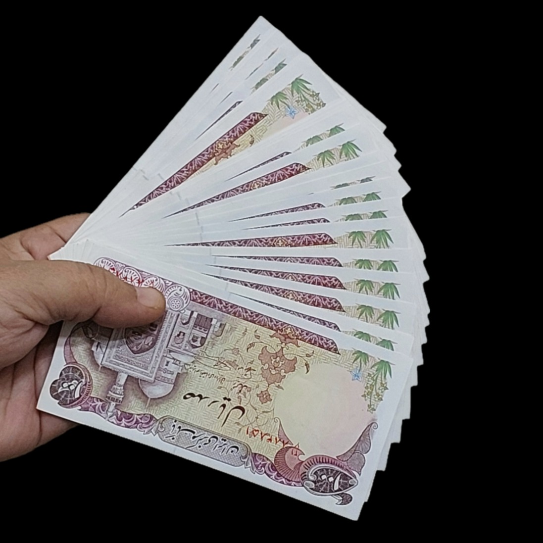 ست بینظیر 20 جفتی اسکناس 100 ریال نوربخش نمازی