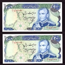 جفت
