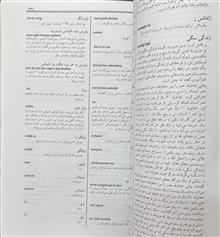 فرهنگ