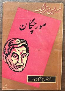مورچگان