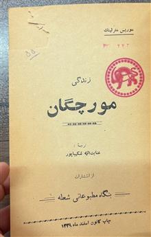 مورچگان