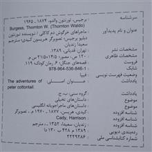 خرگوش