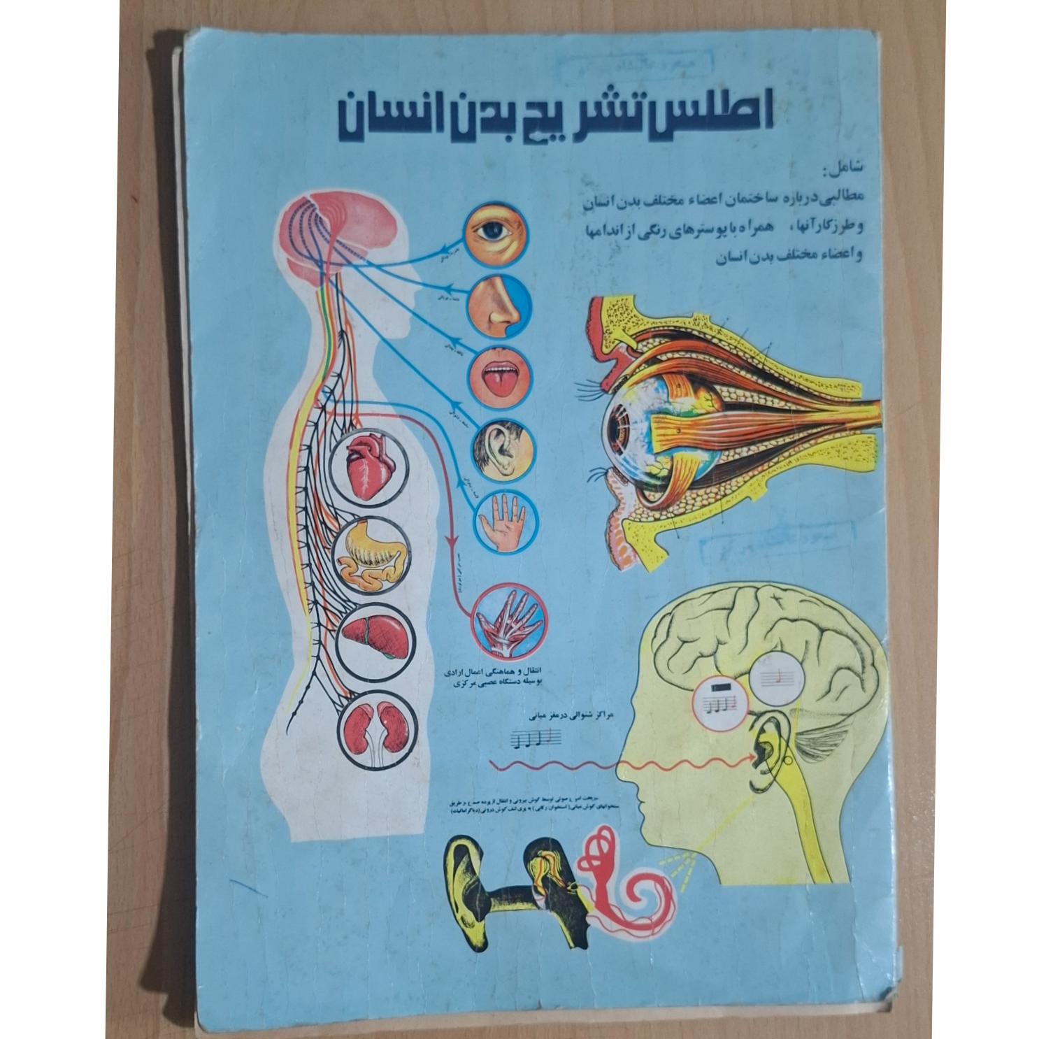 اطلس تشریح بدن انسان