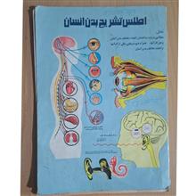 اطلس