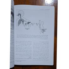 فشرده