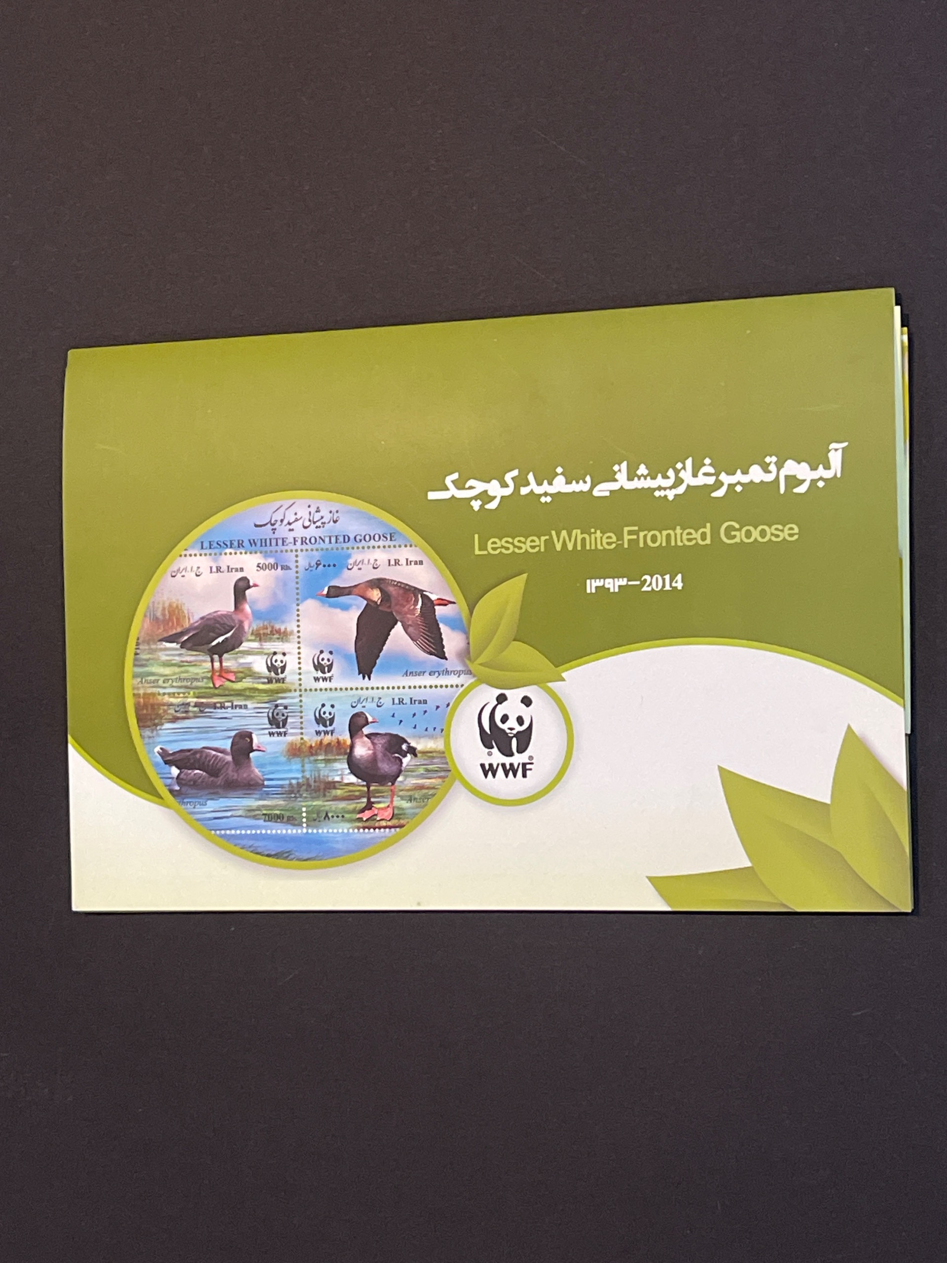 ماکسیموم کارت غاز پیشونی سفید 1393