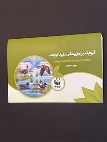 ماکسیموم