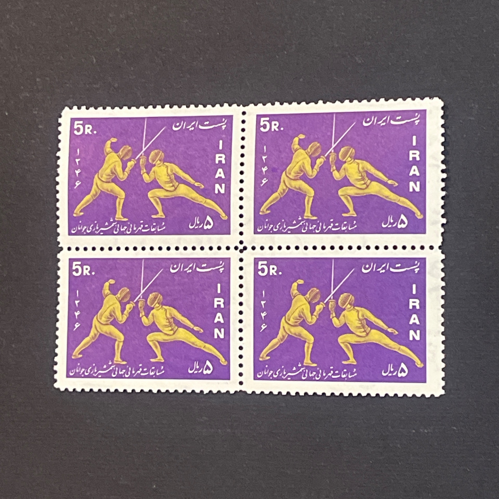 بلوک شمشیربازی 1346 (120)