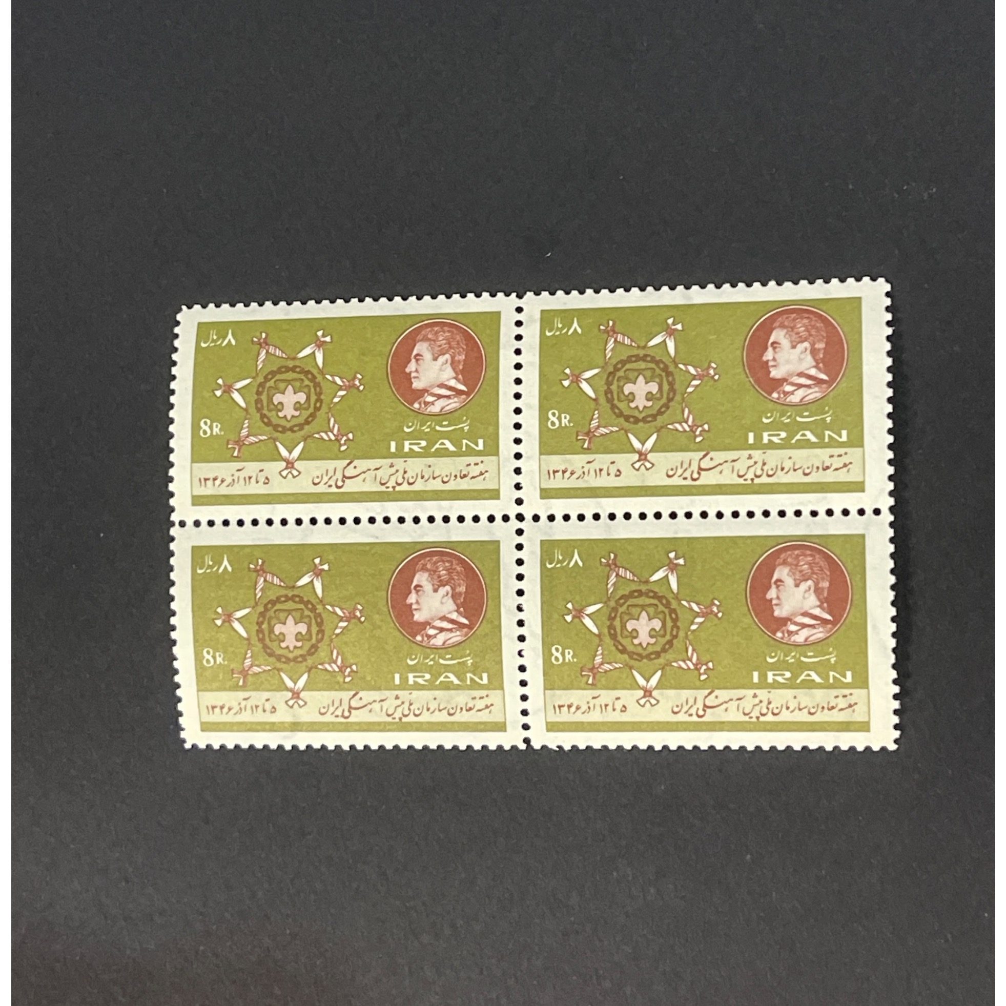 بلوک پیشاهنگی 1346 (120)