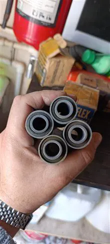 بوش