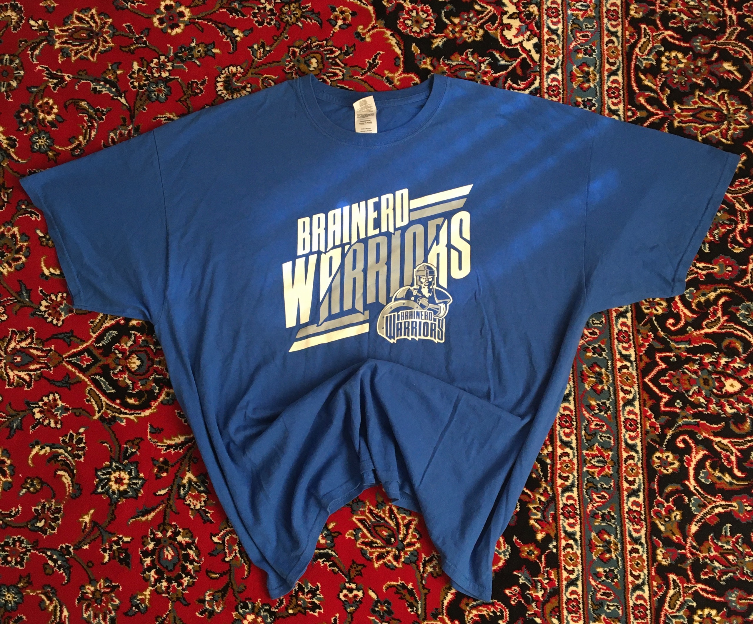 تیشرت مردانه نخ پنبه وارداتی(gilden)