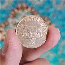 سکه