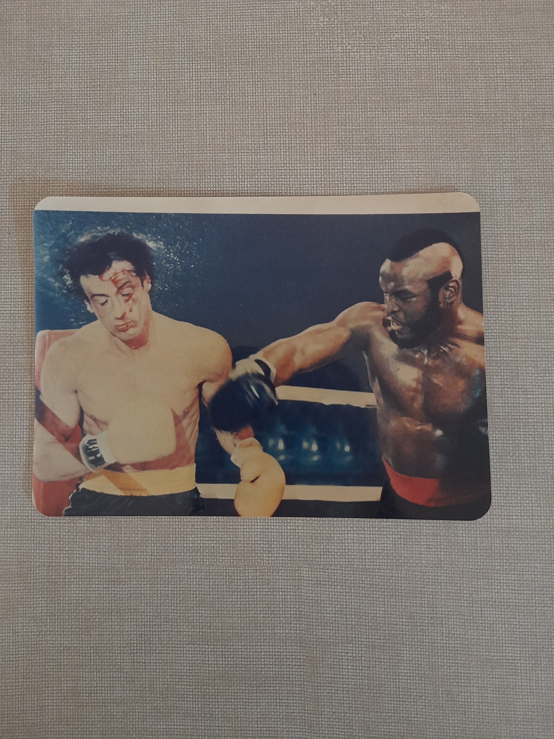 3 قطعه عکس قدیمی دوربینی سیلوستر استالونه