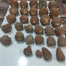 میوه