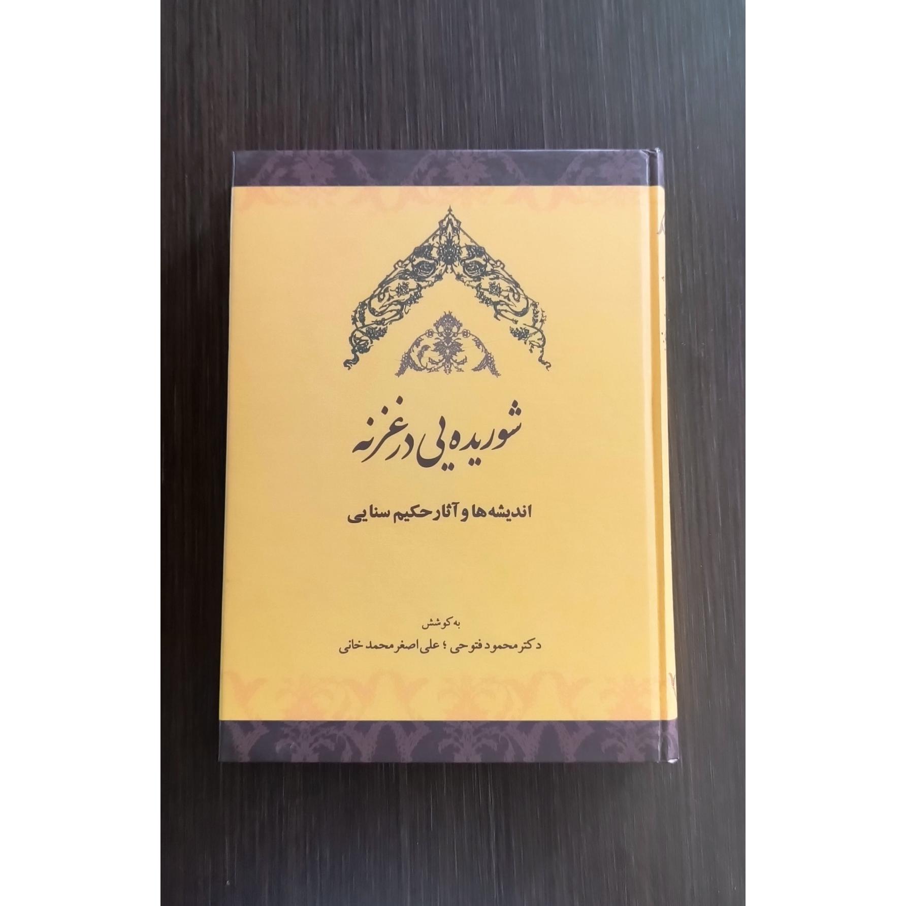 شوریده یی در غزنه