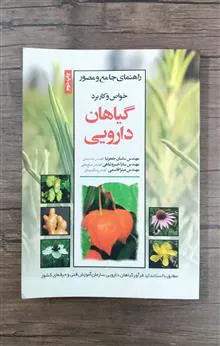 راهنمای