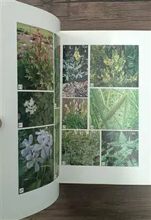 راهنمای