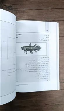 مروری