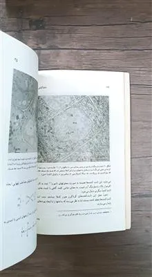 یاخته