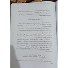 متن