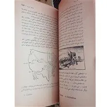 ما