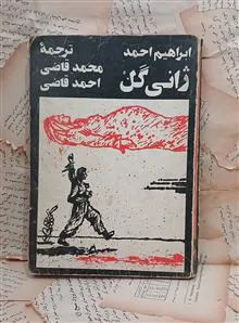 ژانی