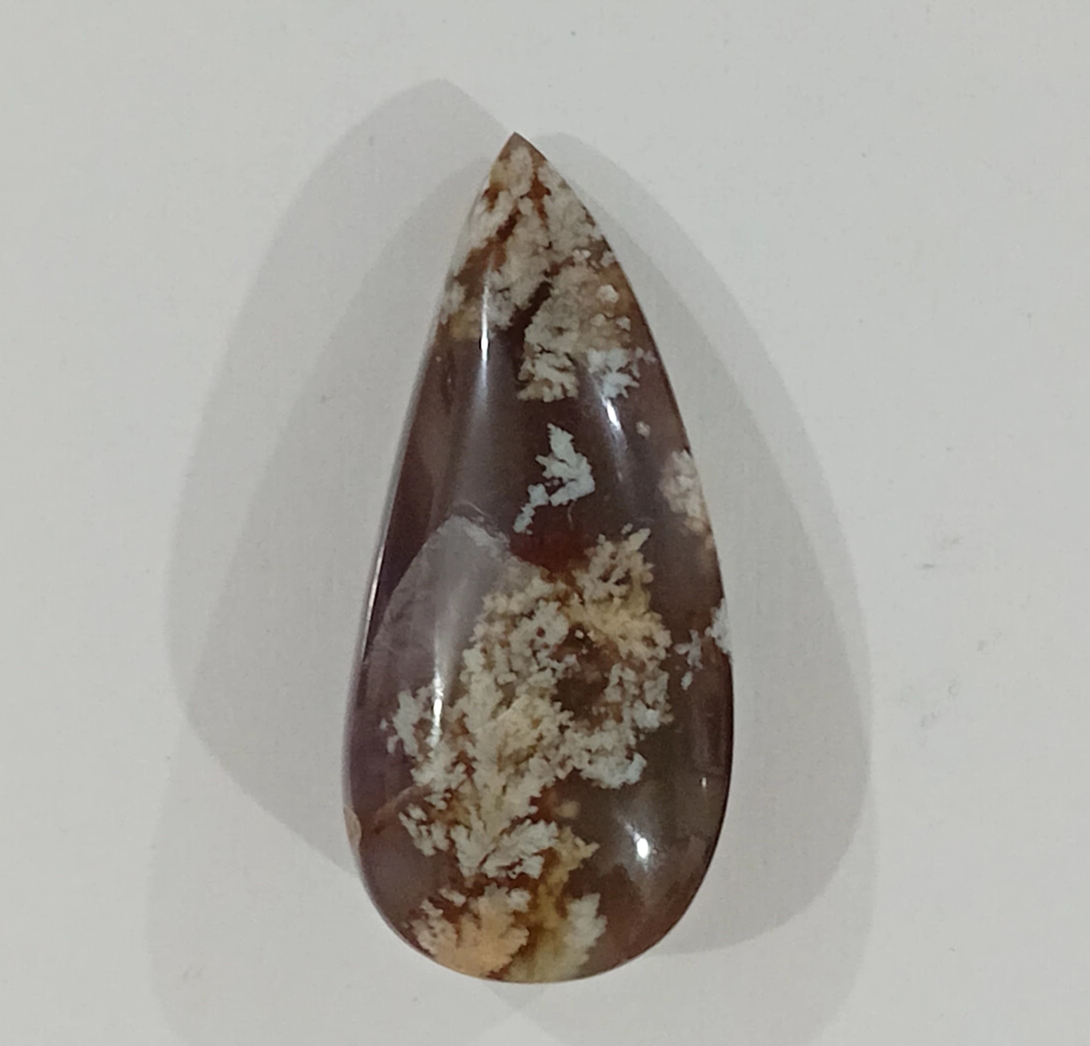 نگین شجر  فردوس