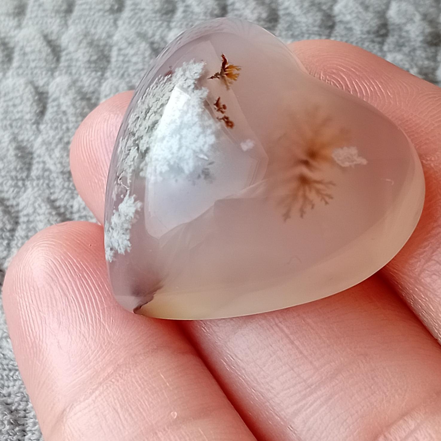 نگین شجر قاصدکی خاص