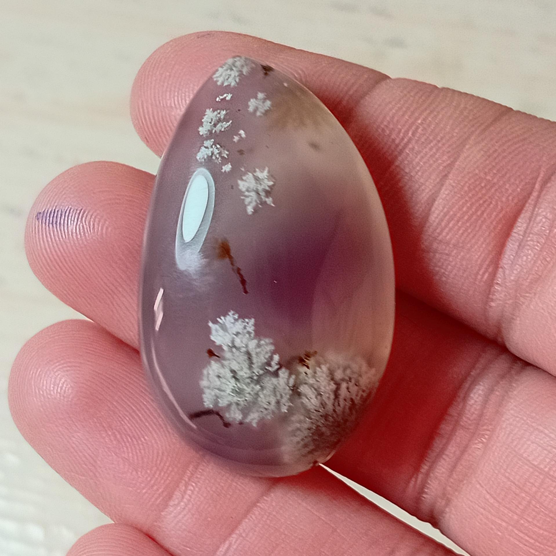 نگین شجر سوسنی