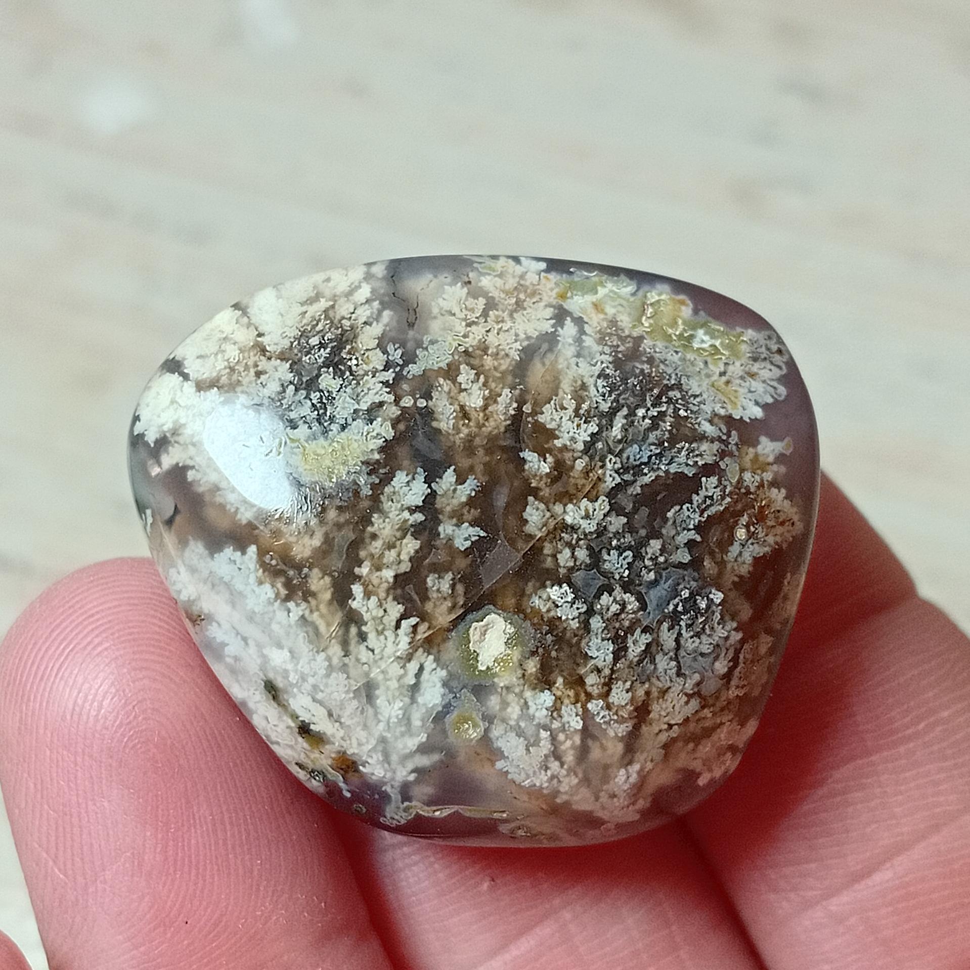 سنگ شجر کلکسیونی