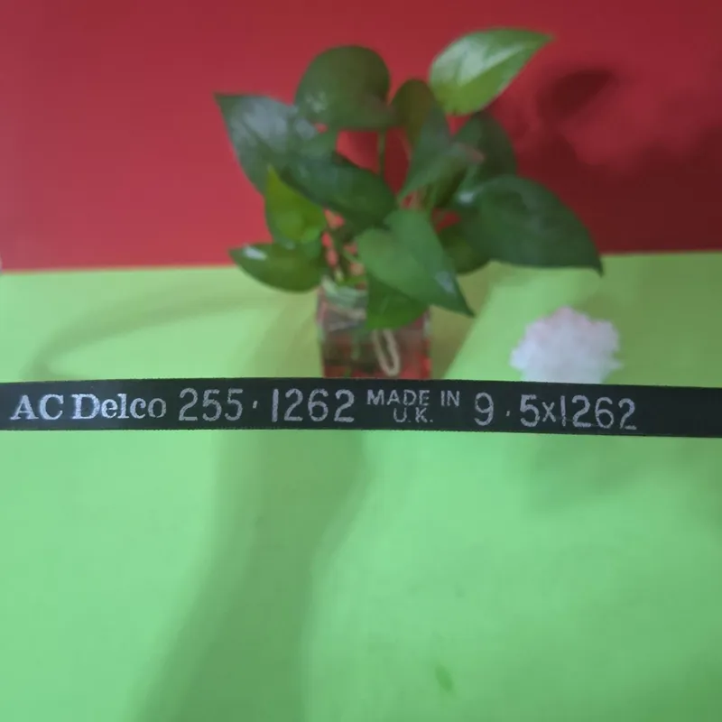 تسمه انگلیسی اصل به شماره 1262 × 95